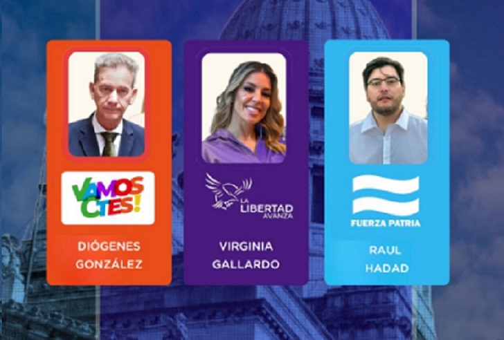 2314170-corrientes-enviara-tres-representantes-a-nacion-uno-de-cada-agrupacion-politica